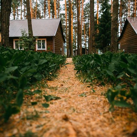 Duck Lake Villa Polatsk Exterior photo