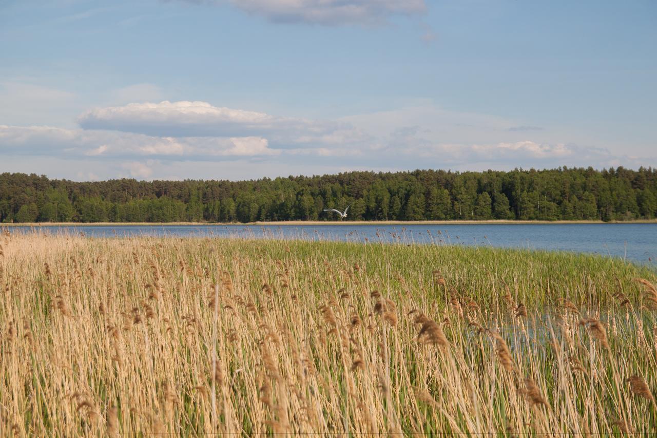 Duck Lake Villa Polatsk Exterior photo